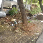 where is the drainage?